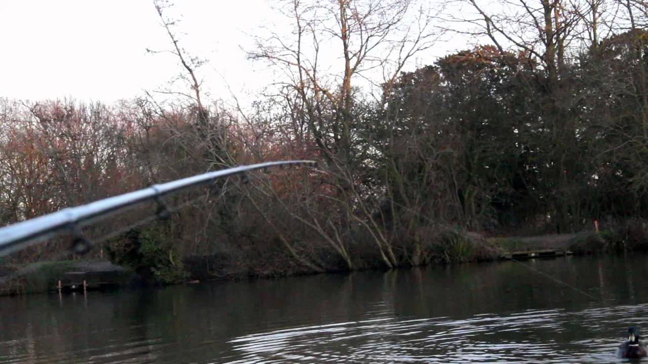 feeder fishing bites