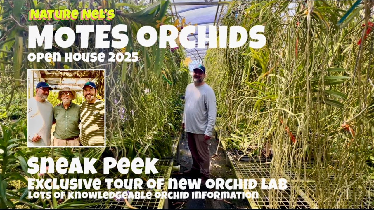 The iconic, Motes Orchids. Behind the scenes never filmed before.Unveiling of new lab to the world.