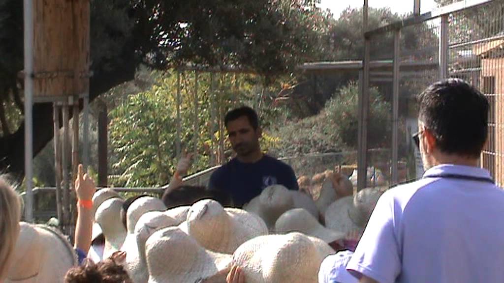 ΕΚΔΡΟΜΗ ΣΤΟ PARADISE PARK 2 -11 -2013 ΤΑΞΕΙΣ Α, Β, Γ ΛΑΚΩΝΙΚΗ ΣΧΟΛΗ