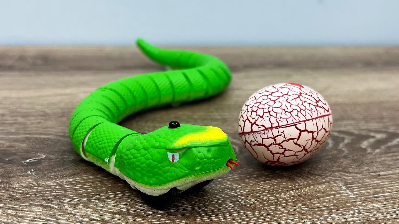 RC Snake with Snake Egg Remote Controller