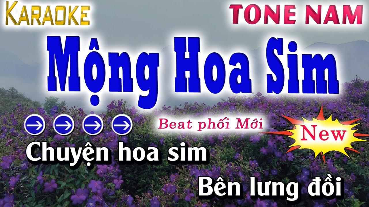 Mộng Hoa Sim Karaoke ( Tone Nam Thấp 2025 ) Quân Organ