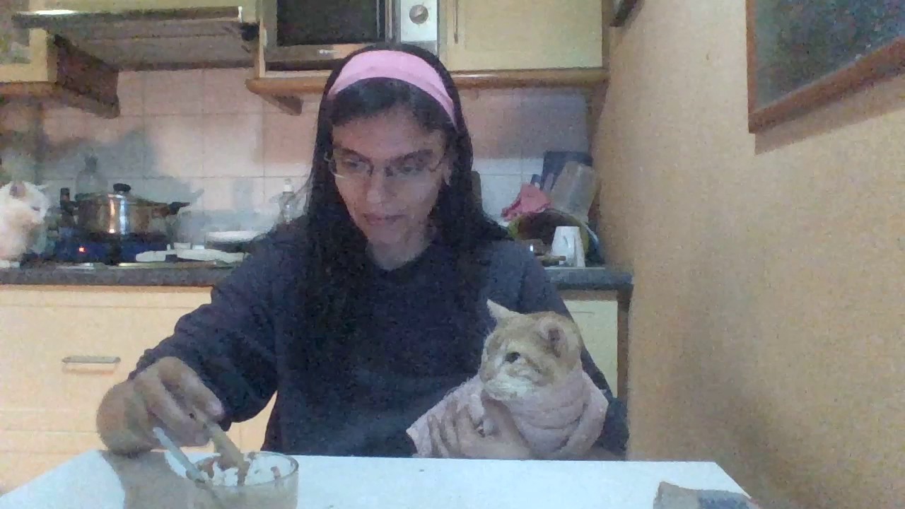 Alimentando un gato enfermo