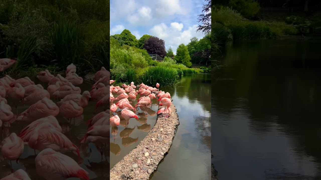Beautiful views at Jersey Zoo | Channel Islands
