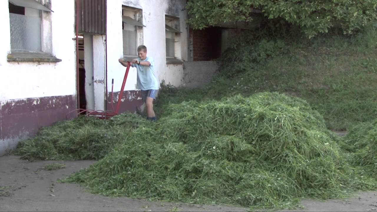Urlaub am Bauernhof König in Haslach