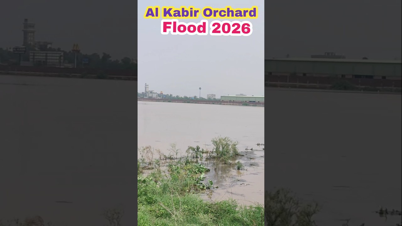 Al kabir Orchid and Smart City Lahore flood new update #floodnews