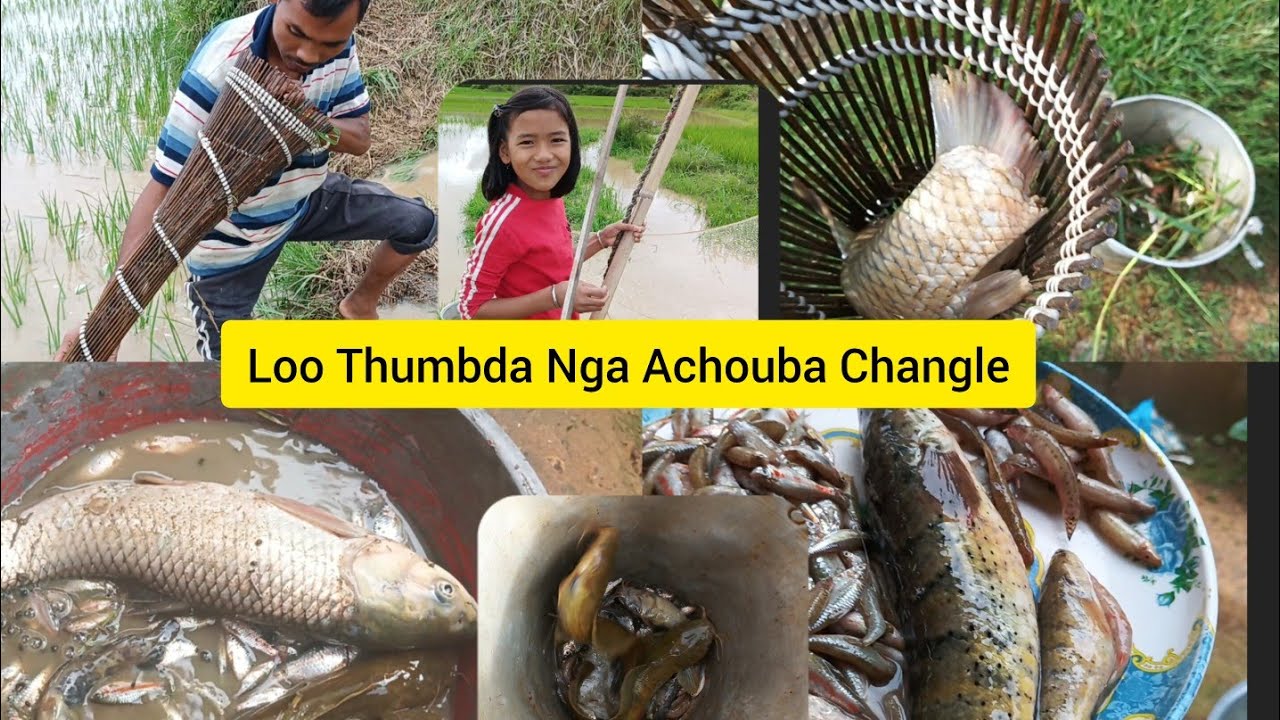 Loo Thumbda Nga Achouba Changle Maym