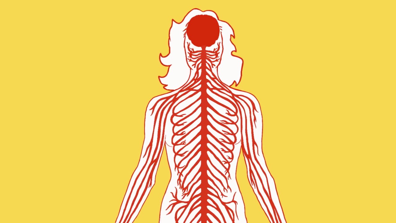 Nerve Pain Management