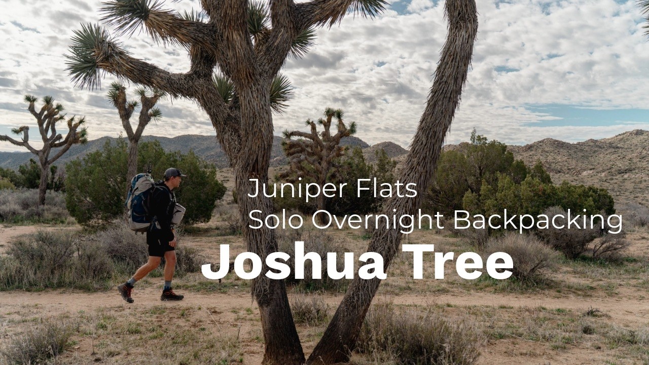 A Quiet Night in the Desert | A Joshua Tree Micro Adventure