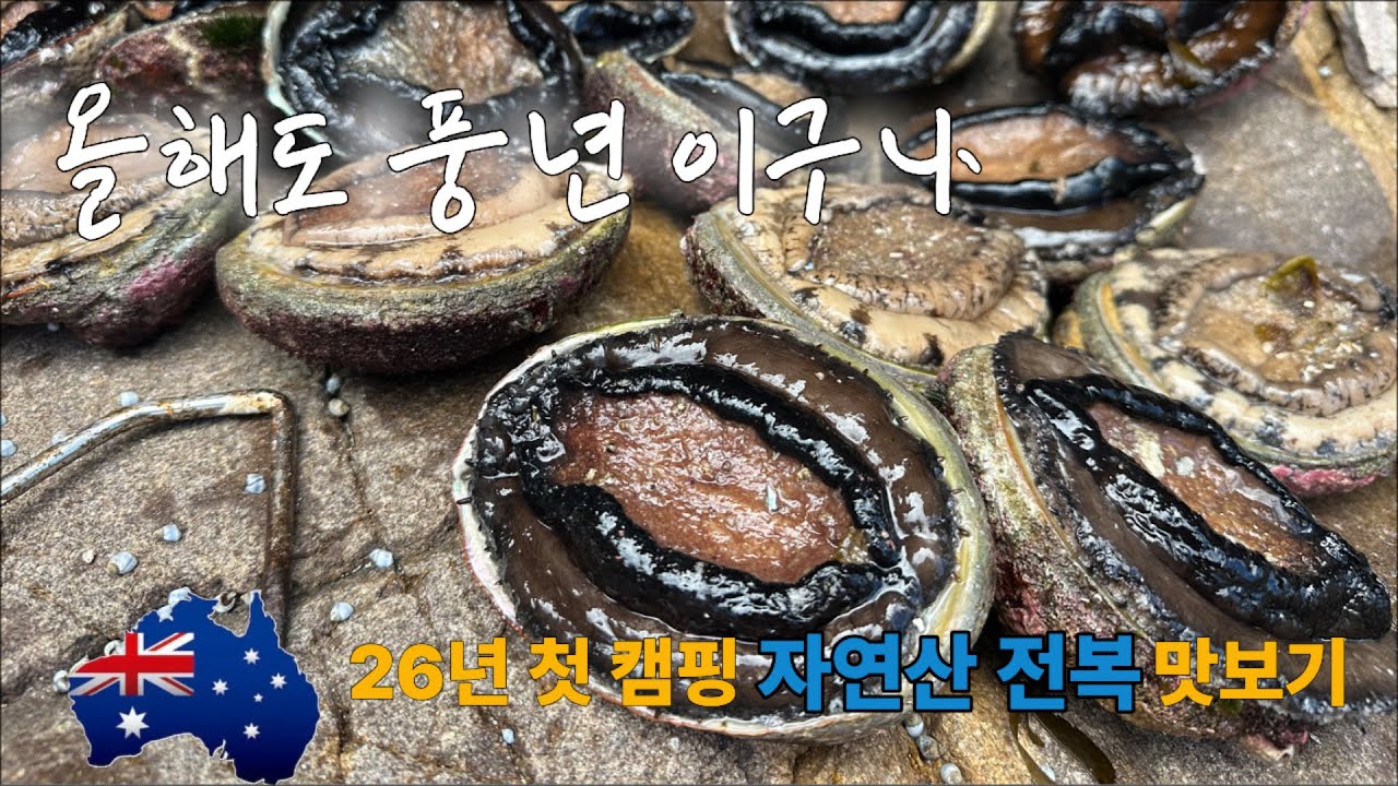 새해 첫날 캠핑 🏕️ 전복이 풍년 이구나‼ [호주🇦🇺시드니 이야기 EP32]