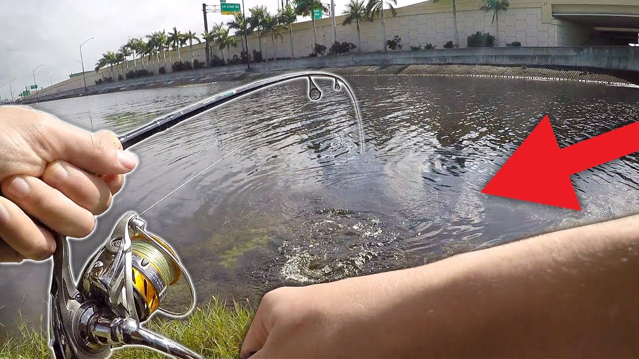 Caught my DREAM Bucket List Fish!! (EPIC)