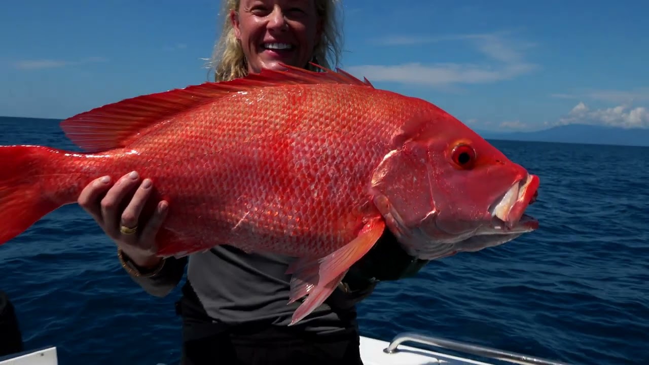 Fishing Tips | Wonky Holes | Nannygai and Red Emperor
