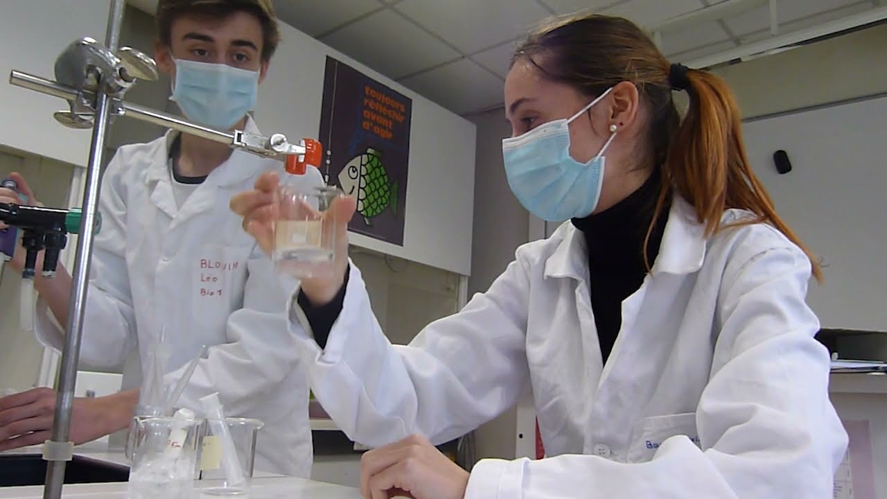 Reportage sur les biotechnologies au lycée Talensac