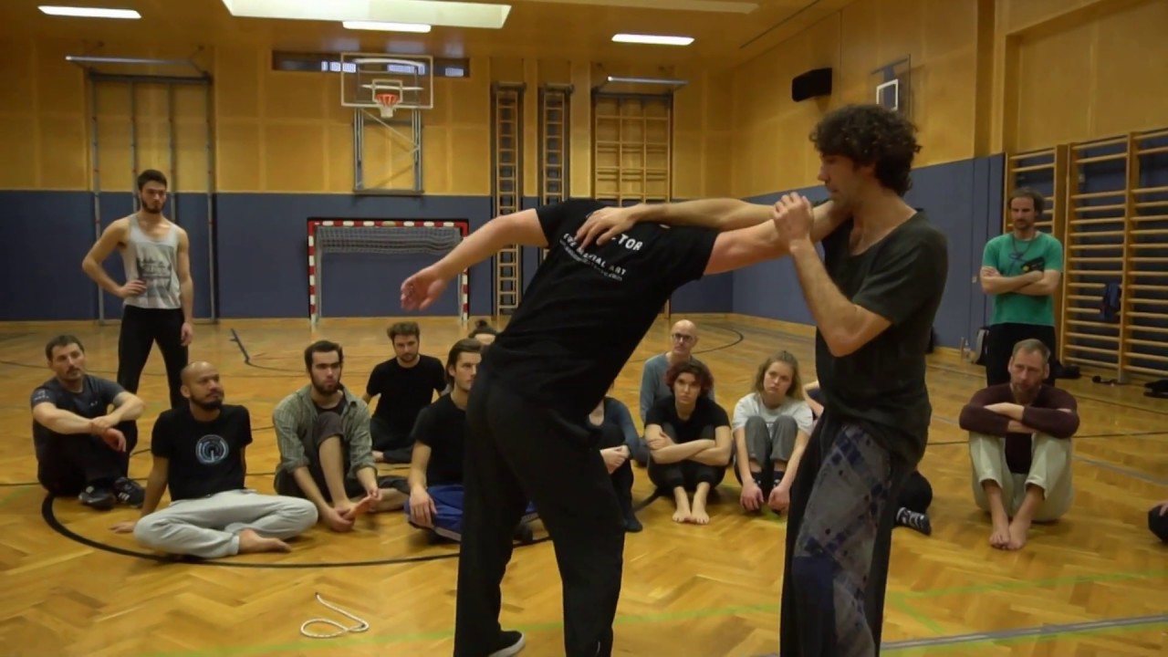 Play - Fight Biomechanics  Technique Training Workshop Vienna Austria February 2019