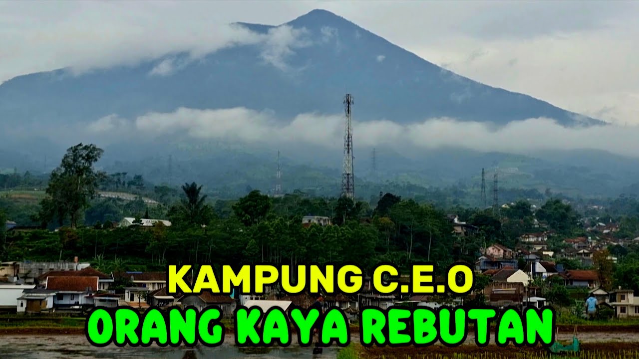 KAMPUNG C.E.O // JADI INCARAN PARA SULTAN // seluas mata memandang hanya ada keindahan