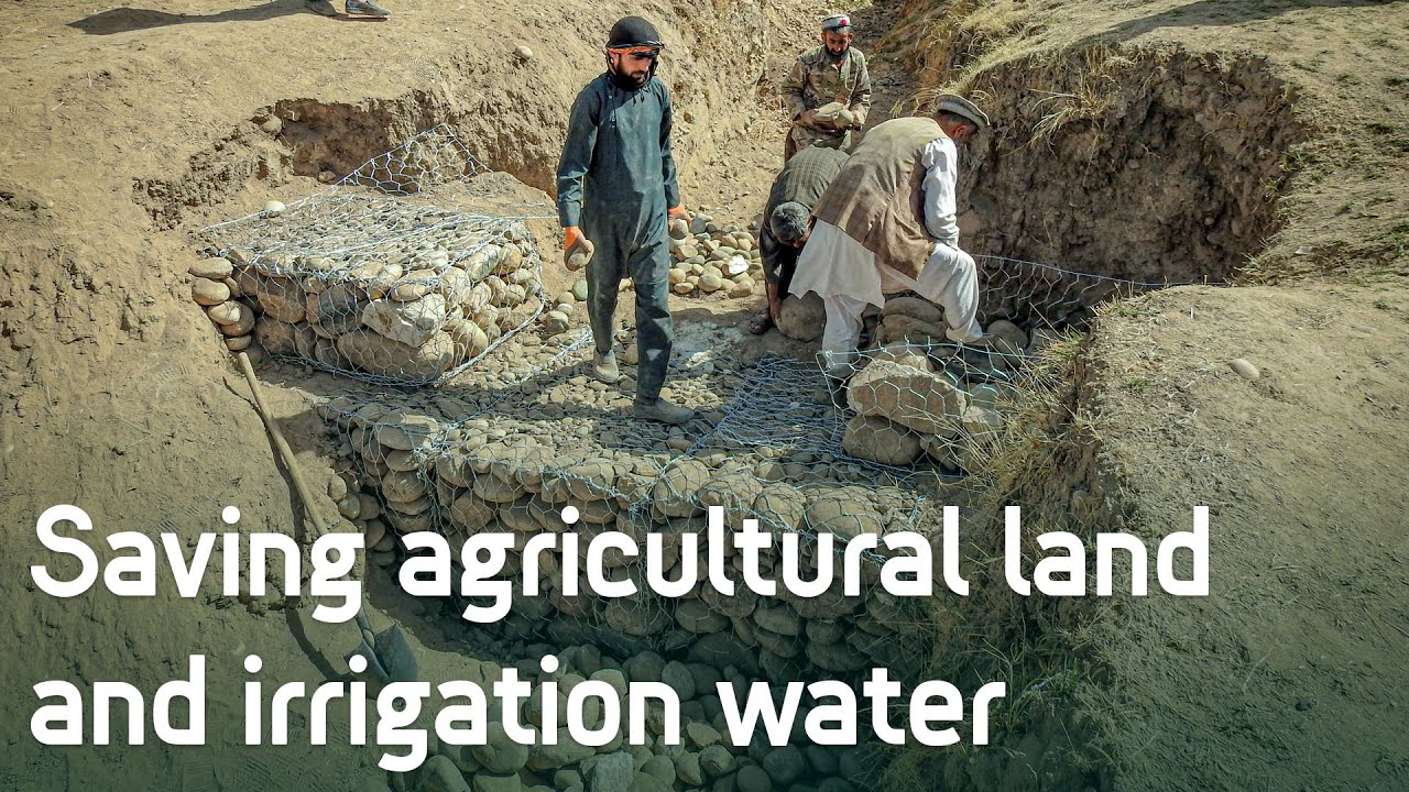 Saving agricultural land and irrigation water