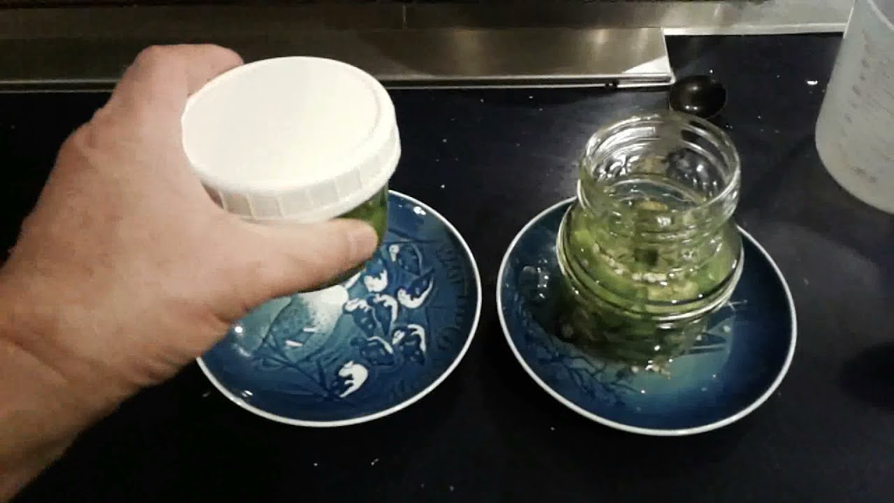 Pickling vs  Fermenting Pepperoncini - How to pickle or ferment peppers