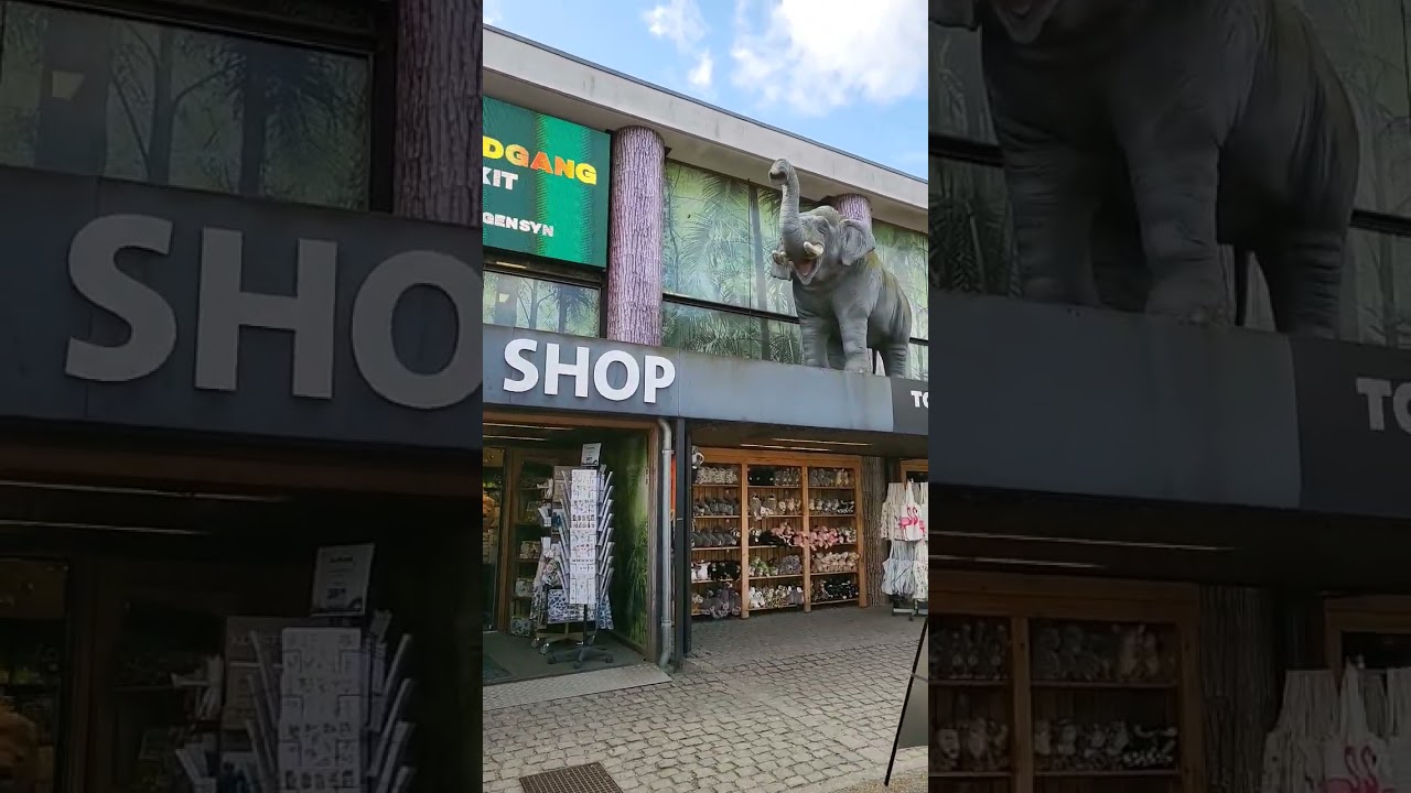 Zoo Shop #Zoo#shop#shortsvideo #ytshorts #foryou #fyp