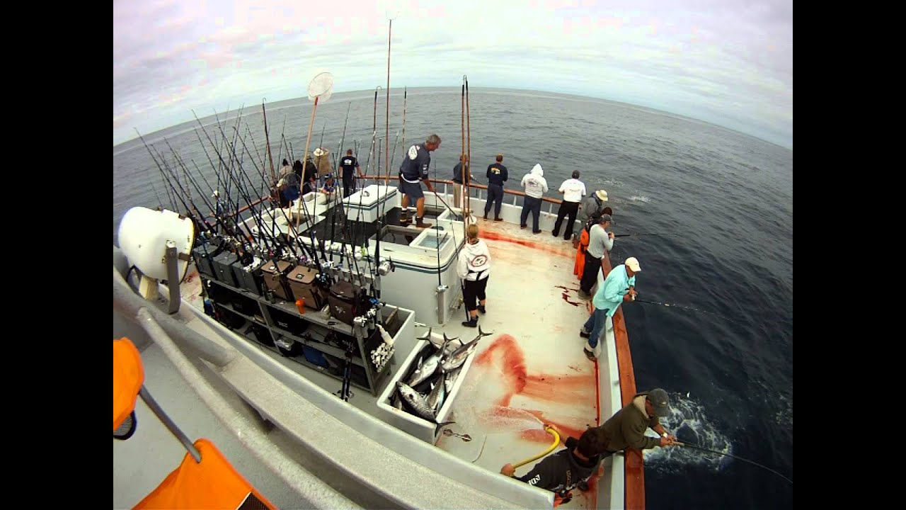 Independence sportfishing July 5 day Bluefin tuna day bite