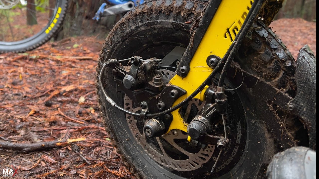 Triride All Wheel Trekking King of the Forrest, by MaxAbility.