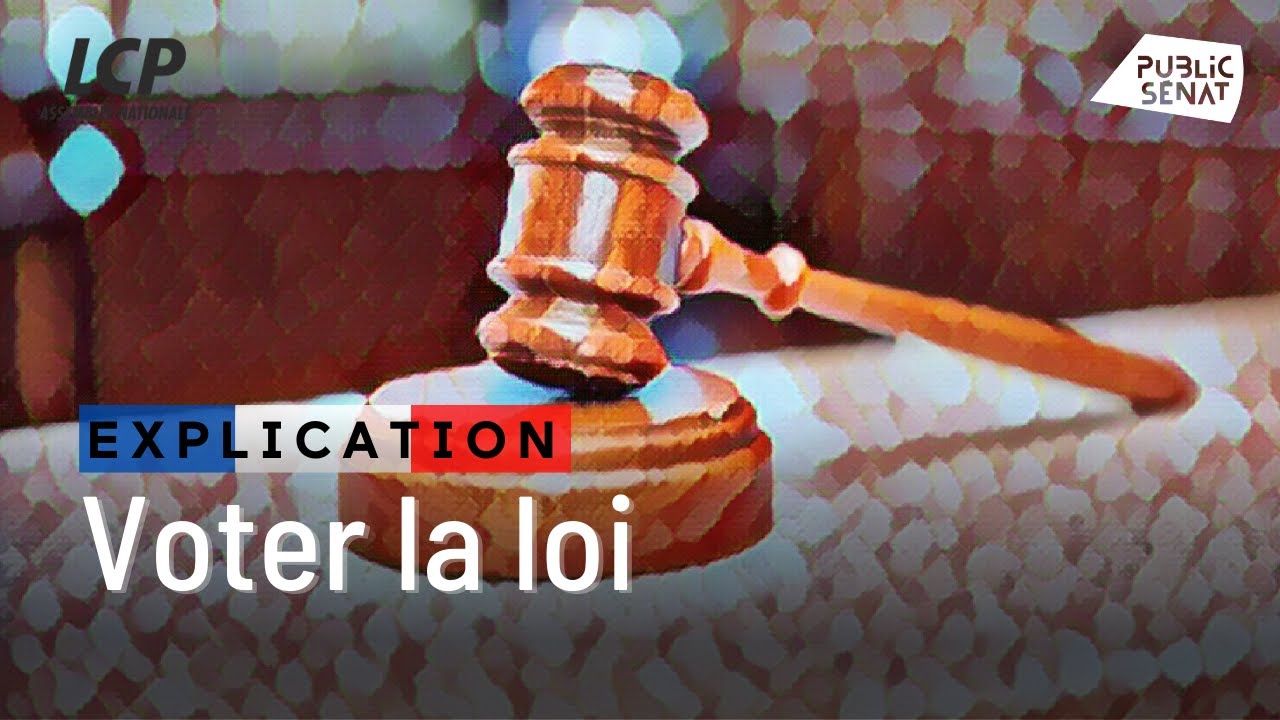Voter les lois en France (Les clés de la République)