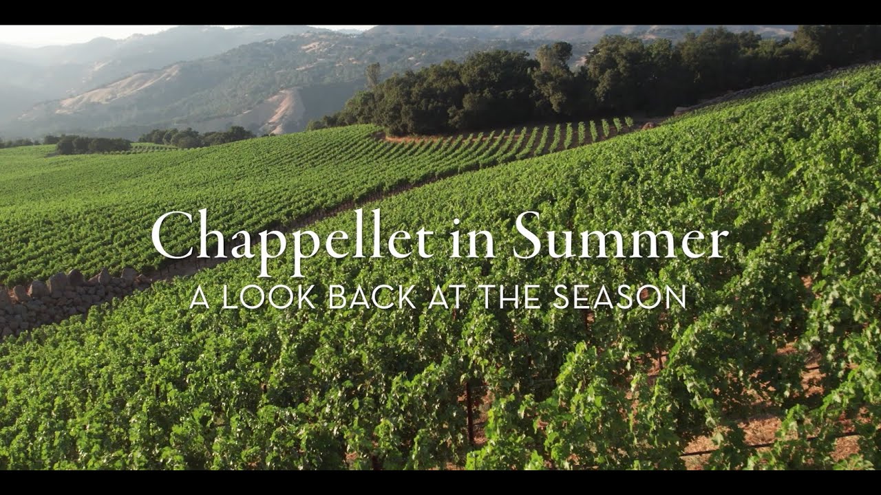 Chappellet in Summer