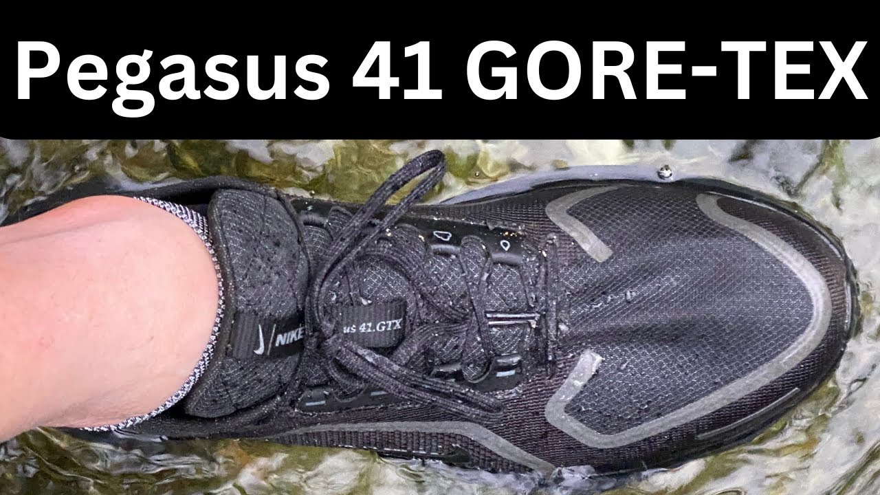 Nike Pegasus 41 GORE-TEX