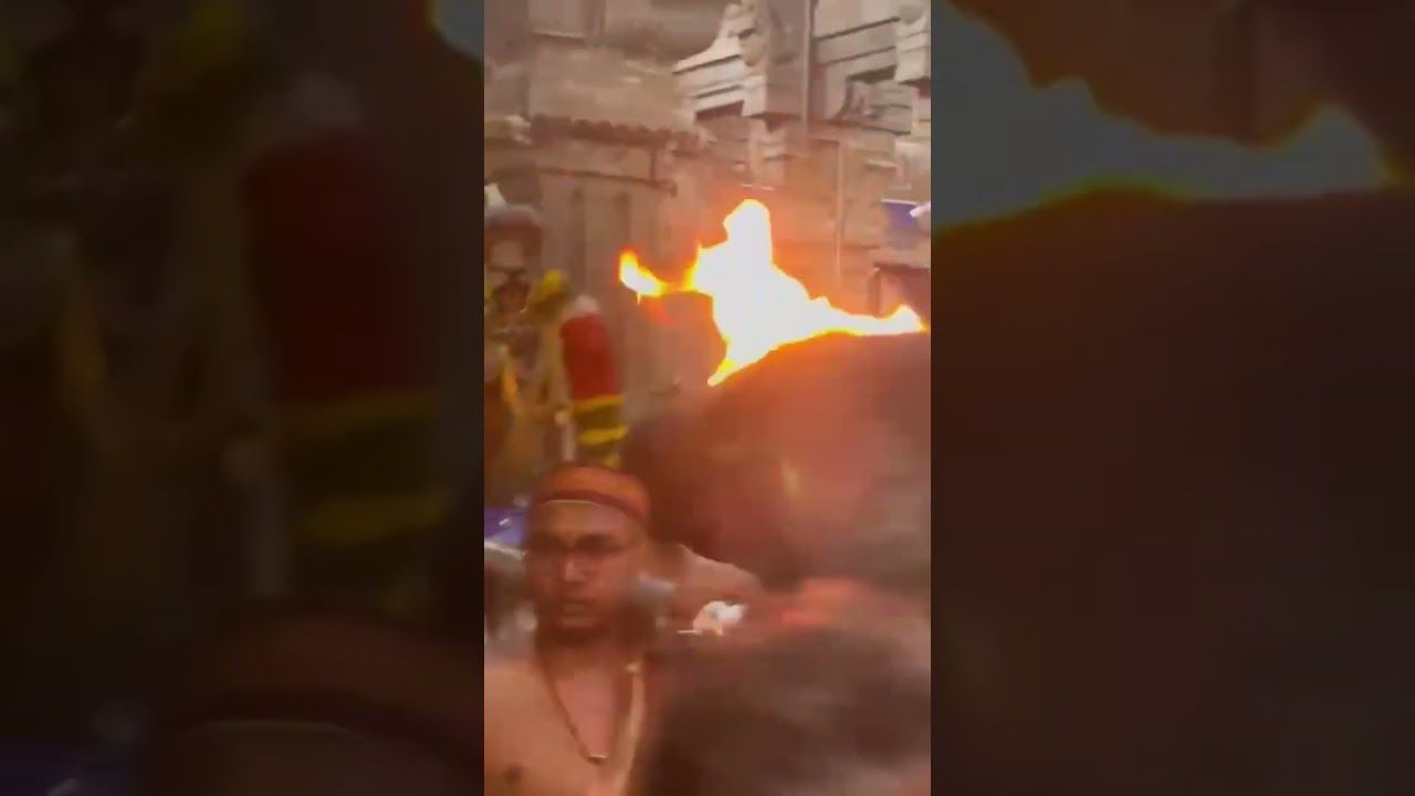 Sri Namperumal Boopathi Thirunal #srirangam #divyadesam #trending #viral #devotional #perumal #vlog