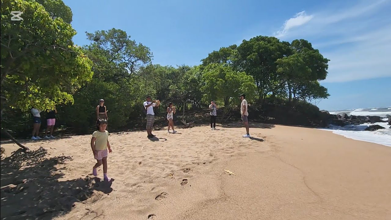 Reaccionando a las famosas playas privadas de El Salvador los almendros
