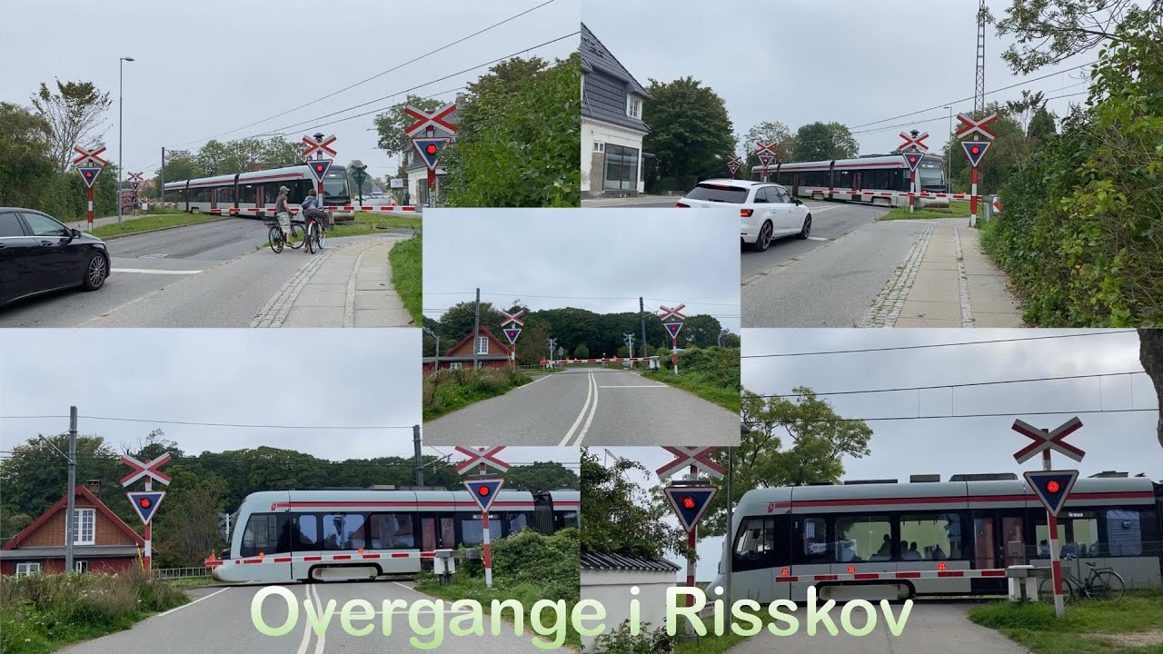 Overgange i Risskov | Crossings in Risskov