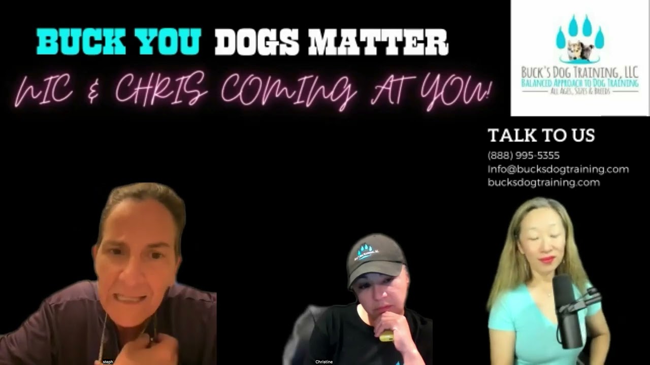 Episode 5 stop unwanted behaviors