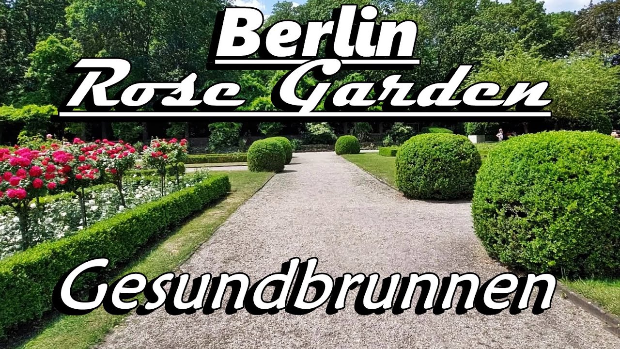 Rose Garden Berlin - Gesundbrunnen - June 2023 / Berlin Gesundbrunnen - Rosengarten im Humboldthain