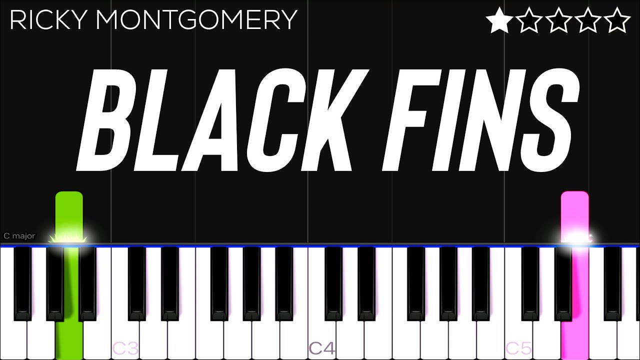 Ricky Montgomery - Black Fins | EASY Piano Tutorial