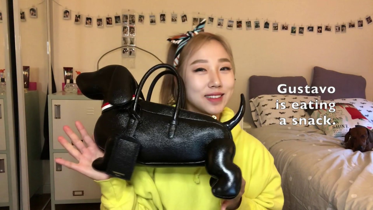 Hector (Wiener Dog)  Bag - REVIEW