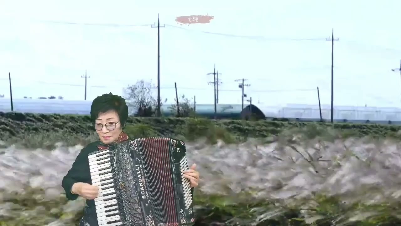해운대엘레지 아코디언 유영자