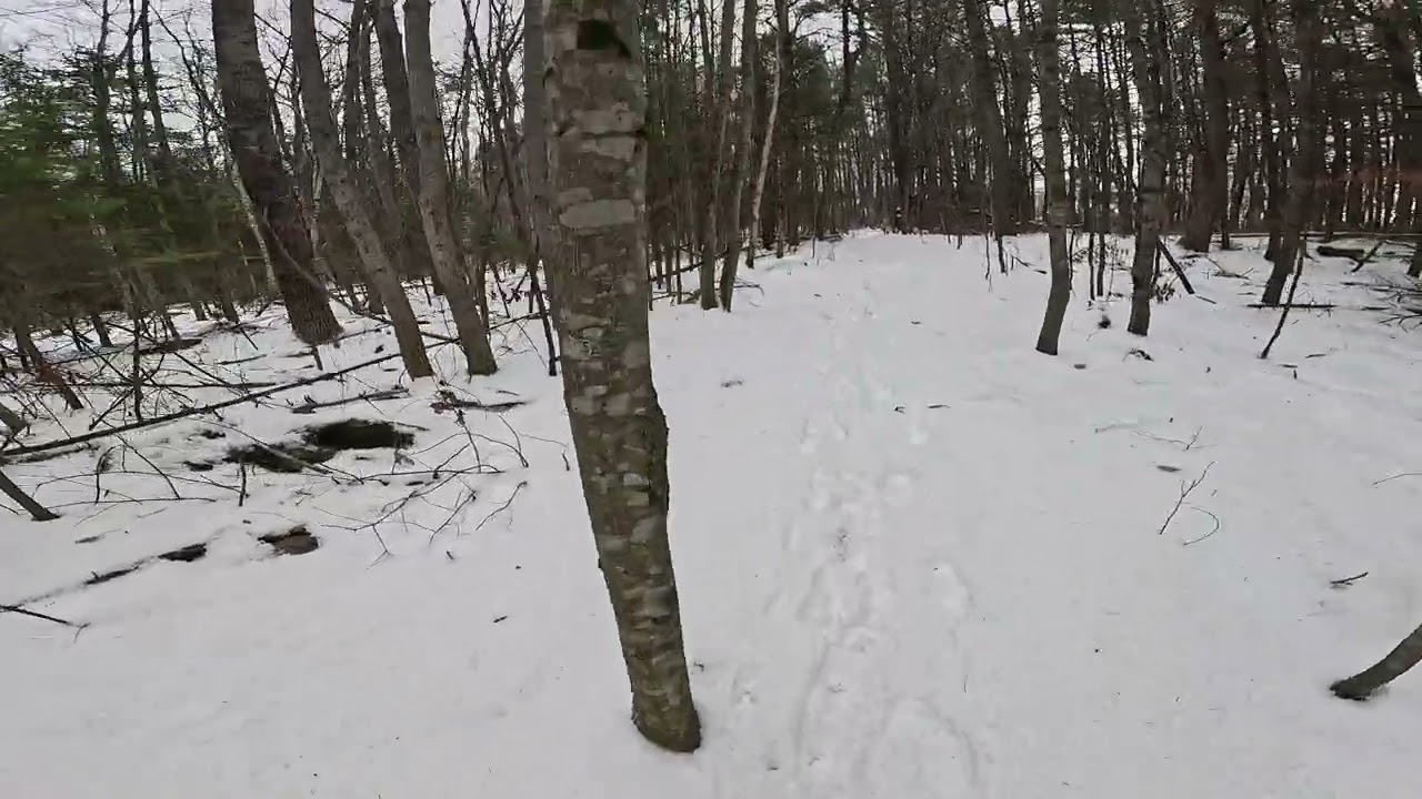 Cattail Marsh Trail Loop 3 of 3 Northeast Penjajawoc Bangor ME12 2025