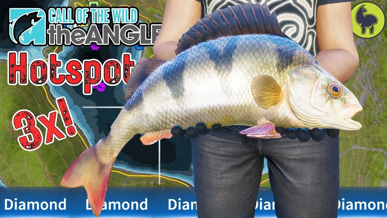 3x Diamond European Perch HOTSPOT | Call of the Wild: The Angler