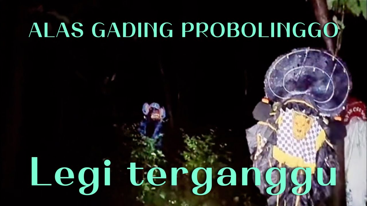 KESERUAN SI LEGI KETEMU DEVIL BIRU || Alas gading probolinggo 