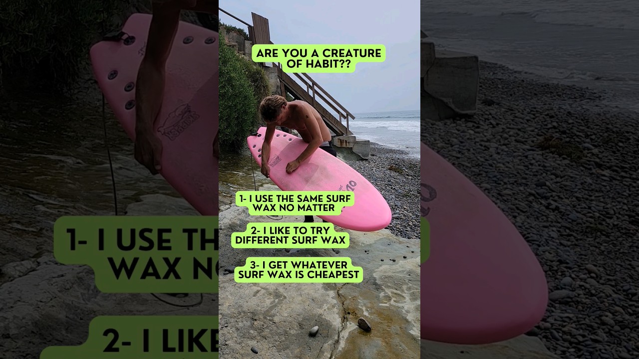 Are YOU a Creature of Surf Wax Habit??? 🏄&zwj;♀️🏄&zwj;♂️ #surfing #surfboard #funny