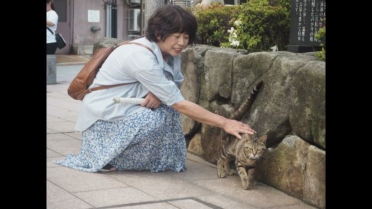 2019waku