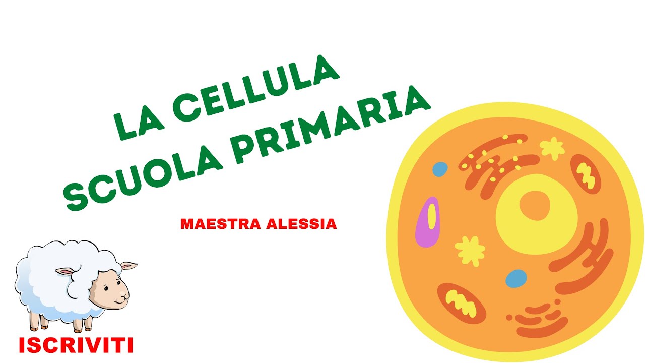 La cellula scuola primaria