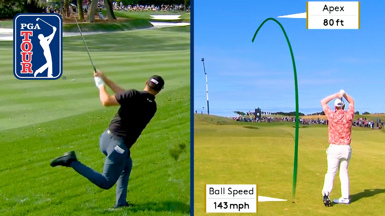 CRAZIEST APPROACHES of 2024 on the PGA TOUR