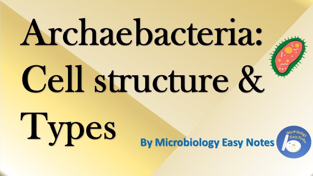Archaebacteria Cell Structure and it's types