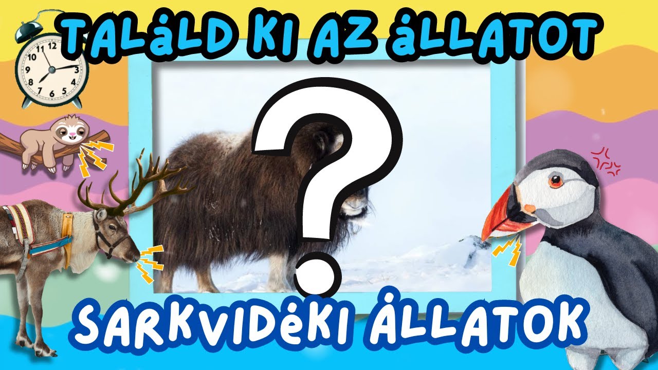 Tal&aacute;ld ki az &aacute;llatot  /  Kv&iacute;z gyerekeknek  /  Sarkvid&eacute;ki &aacute;llatok