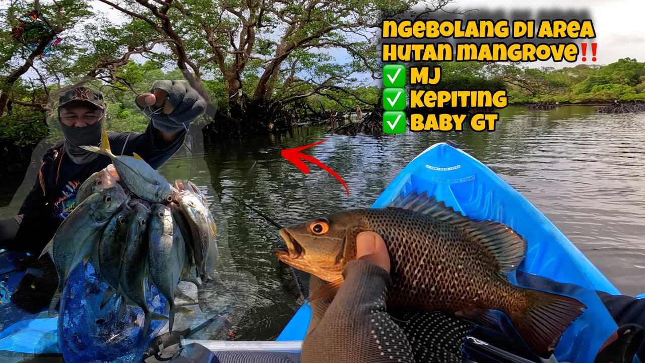 ‼️NGEBOLANG‼️ BERBURU IKAN DAN KEPITING DI AREA MANGROVE BALI | MANCING DI BALI