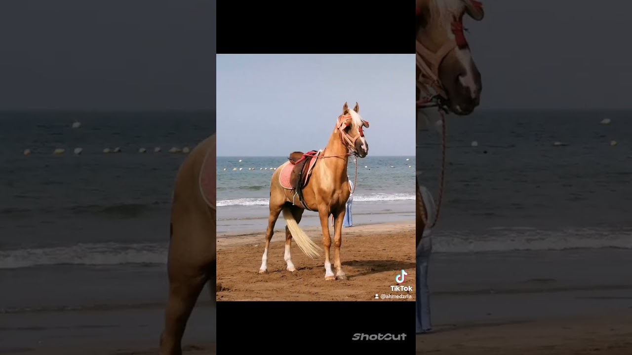 mohammedia entre Casablanca et rabat