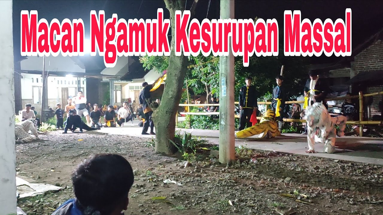 THE RAGE OF THE TIGER PUTRO KUSUMO JATI MOJOPAHIT LIVE IN JATIREJO