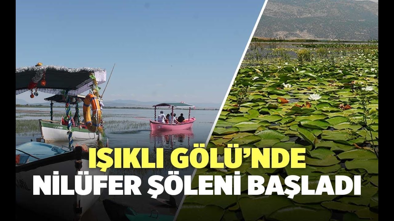 Işıklı Gölü'nde Nilüfer Sezonu Başladı-DENİZLİ HABERLERİ-www.genccivrilgazetesi.com