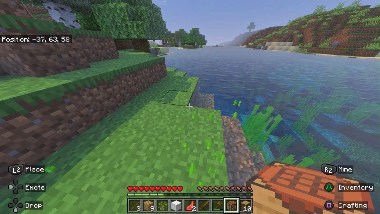 New survival world