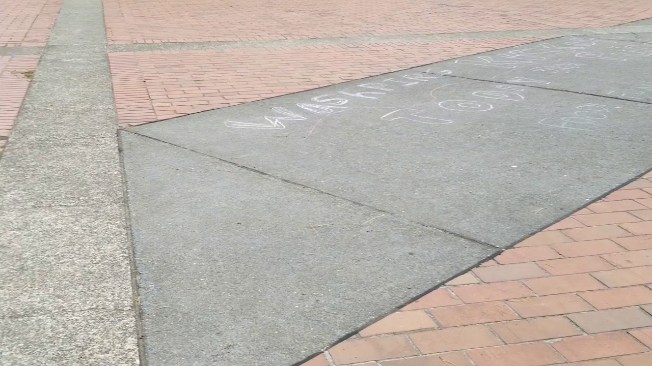 The Evergreen State College Fiasco - Homeless Housing Anyone? p1