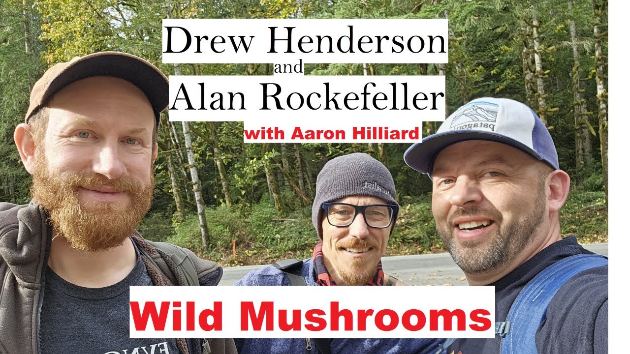Studying Wild Mushrooms with Drew Henderson and Alan Rockefeller in Mushroom Wonderland